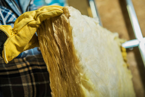 Best Insulation Maintenance and Repair in Fobes Hill, WA